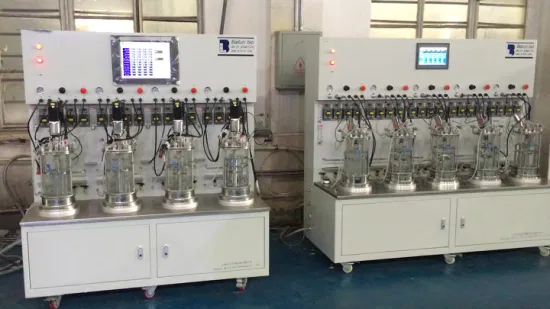 Sodium Carbonate Production Bioreactors for Lab Fermentor
