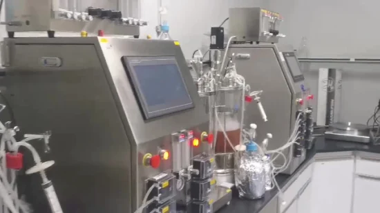 Pressure Vessel Reactor Bioreactor Home Made Inslin Lab Fermentor
